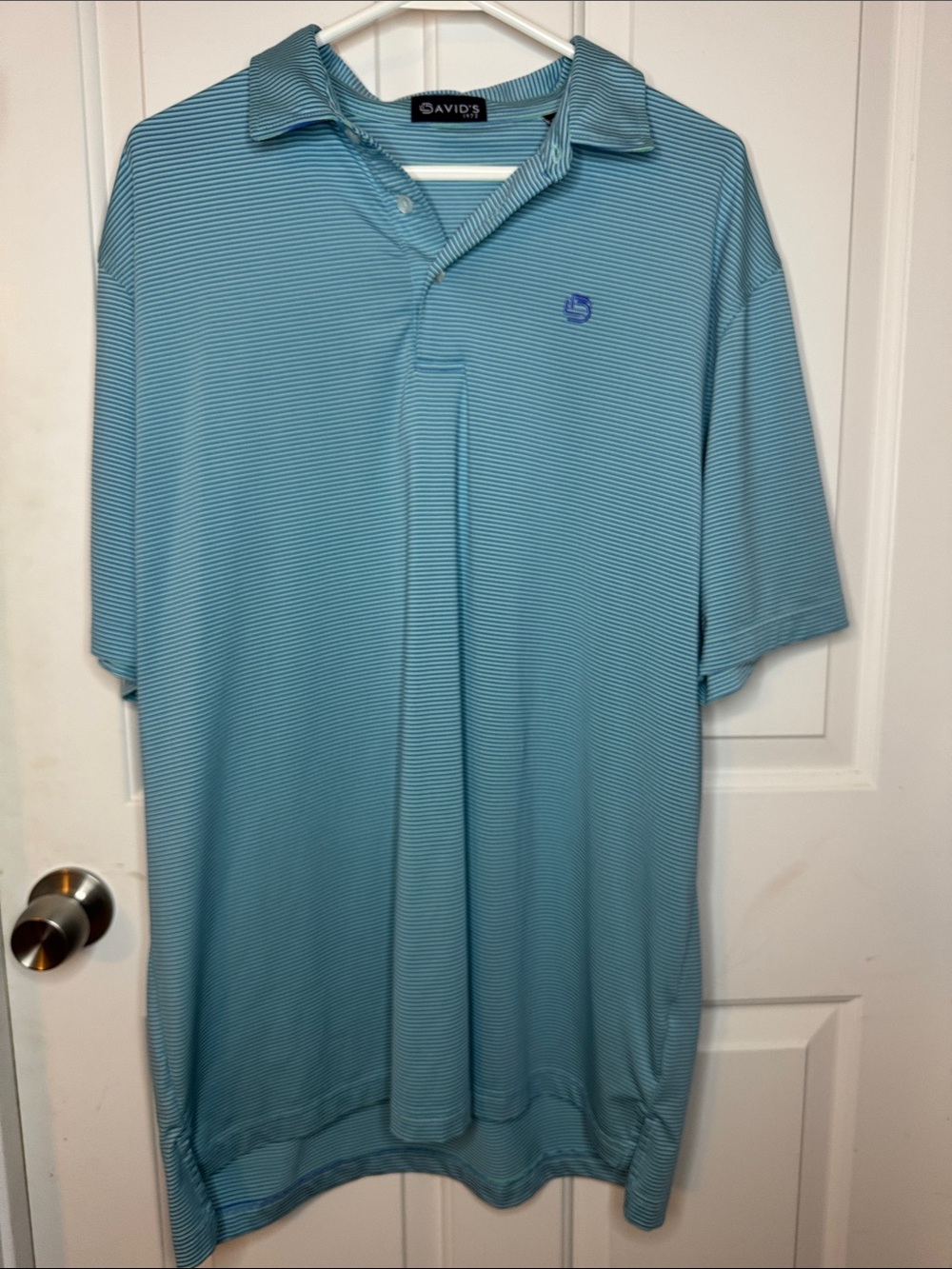 David’s Men's Aqua Thin-Striped Polo